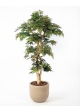 Acero artificiale verde, Tronco Japan, h.185cm