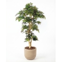 Acero artificiale verde, Tronco Japan, h.185cm