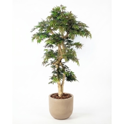 Acero artificiale verde, Tronco Japan, h.185cm