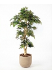 Acero artificiale verde, Tronco Japan, h.185cm