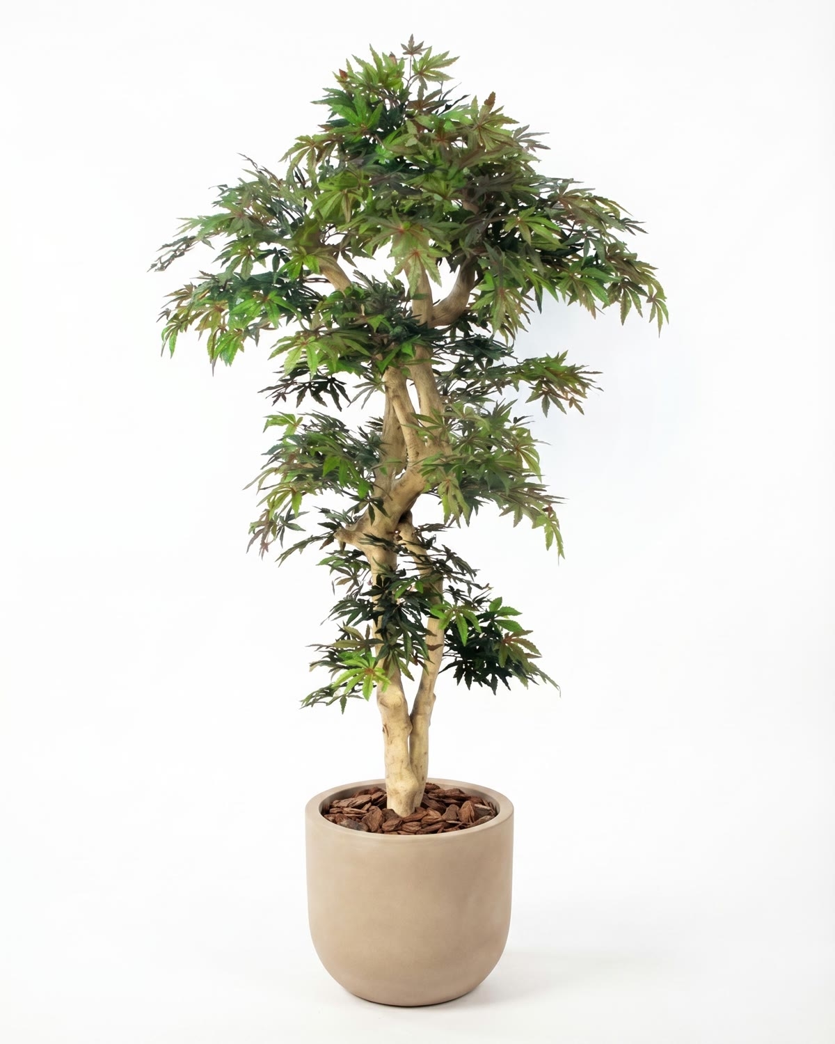 Acero artificiale verde, Tronco Japan, h.185cm