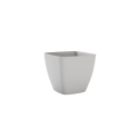 Vaso Ceylon Kit