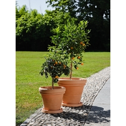 Vaso Doppio Bordo