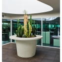 Vaso Ring Tumbler