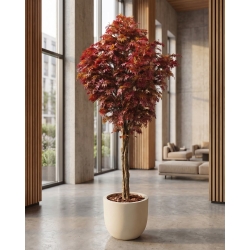 Acero artificiale Rosso 400 cm, Tronco Build-up
