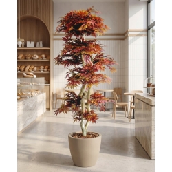 Acero artificiale rosso Tronco Japan, 185 cm