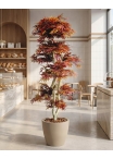 Acero artificiale rosso Tronco Japan, 185 cm