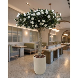 Camelia Luxe Seminaturale • Verde con Fiori Bianchi • Tronco Majestic • H. 275 cm
