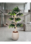 Ficus artificiale Elegance Verde, Tronco Japan
