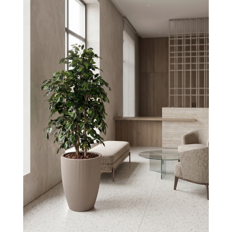 Ficus Artificiale Luxe Small Verde, Tronco Bosco, disponibile in varie altezze