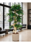 Ficus artificiale Verde, Foglie Mini, Tronco Japan