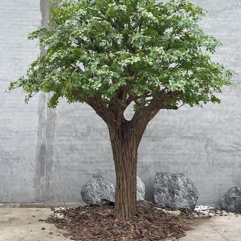 Ficus Microcarpa artificiale Felix 300 cm