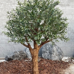 Ulivo artificiale Omero 180 cm