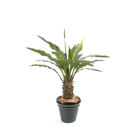 Anthurium Jungle King artificiale 130 cm