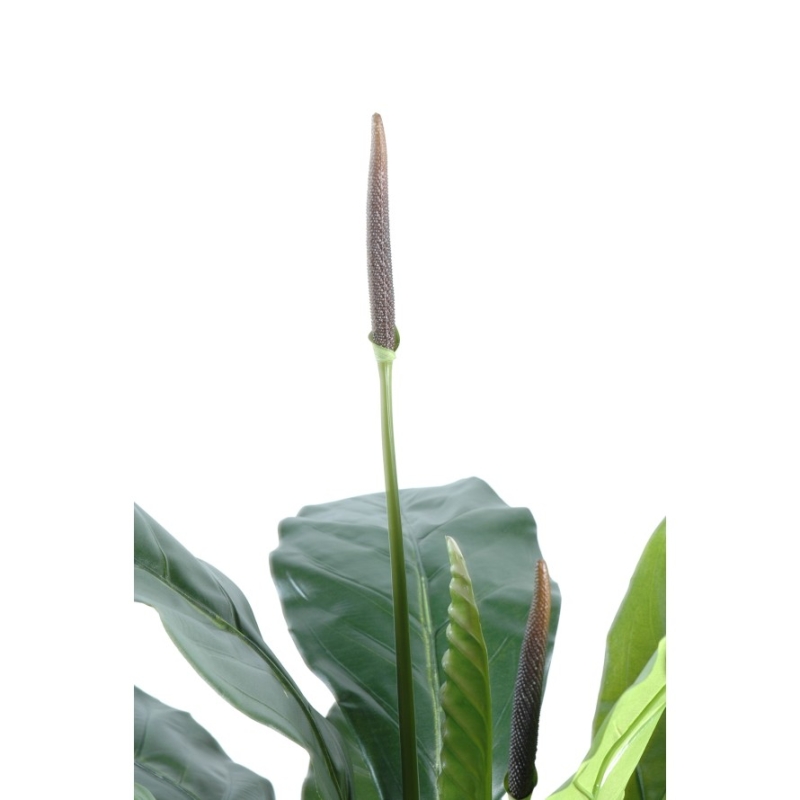 Anthurium Jungle King artificiale 130 cm