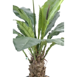 Anthurium Jungle King artificiale 130 cm