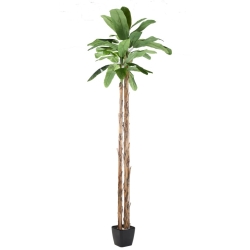 Artificial giant banana tree double trunk 400 cm