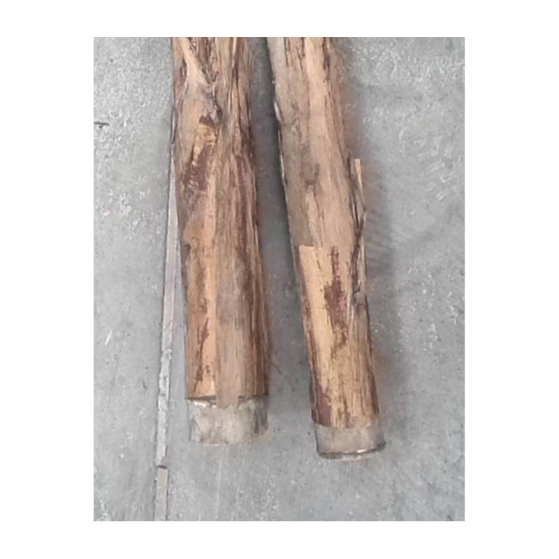 Banano gigante artificiale doppio tronco 400 cm