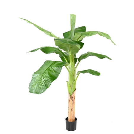 Banano Royal artificiale 170-210 cm