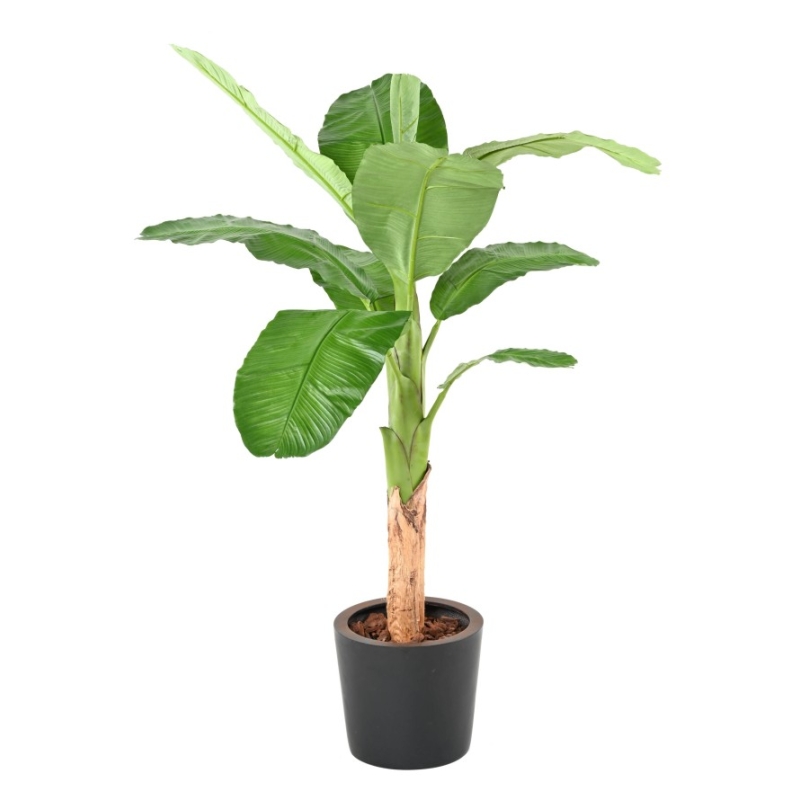 Banano Royal artificiale 170-210 cm