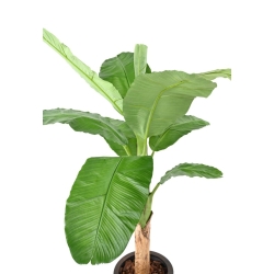 Artificial Royal banana tree 170-210 cm