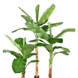 Artificial Royal banana tree 285 cm