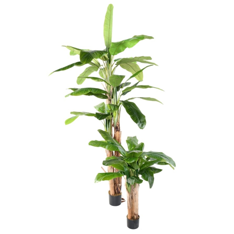 Banano artificiale tre tronchi 132-240 cm