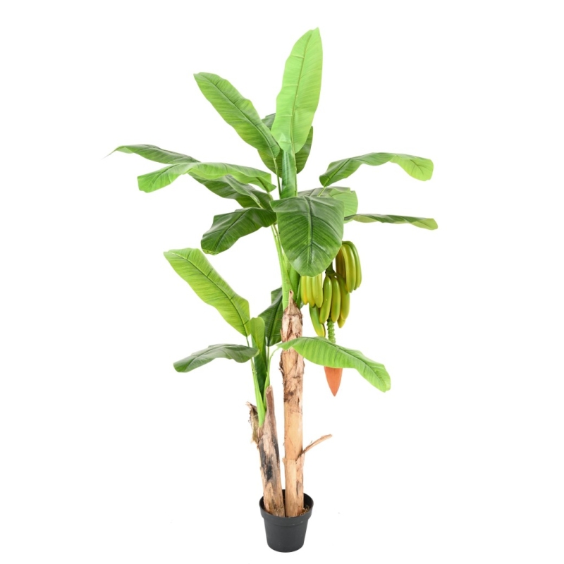 Banano artificiale con frutti 180 cm