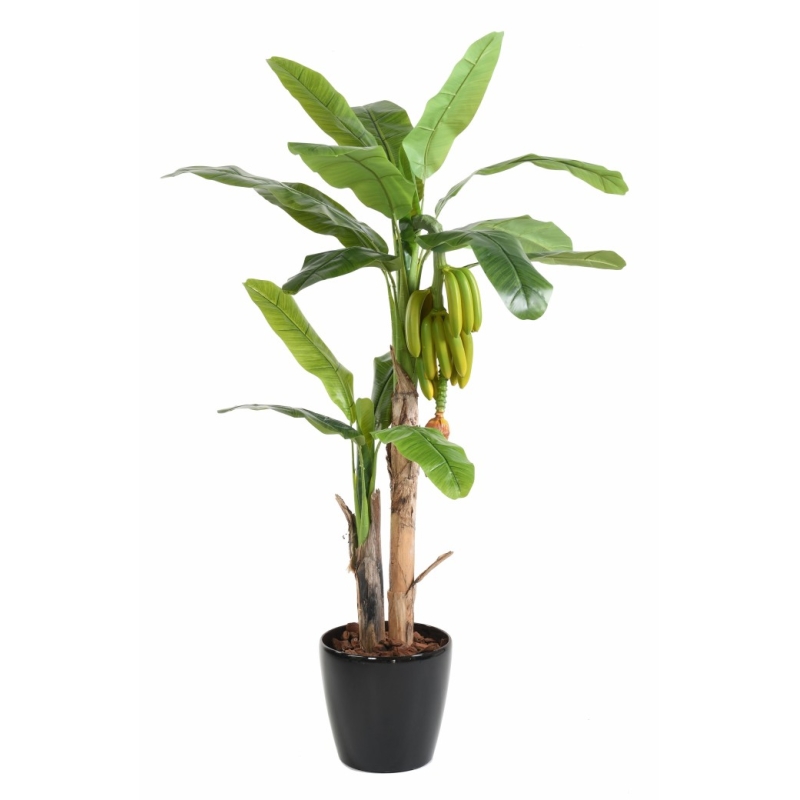 Banano artificiale con frutti 180 cm