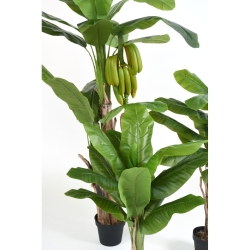 Banano artificiale con frutti 180 cm