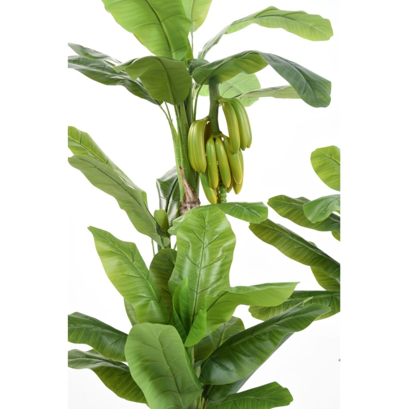 Banano artificiale con frutti 180 cm