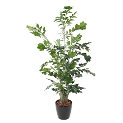 Palma Caryota artificiale 190 cm