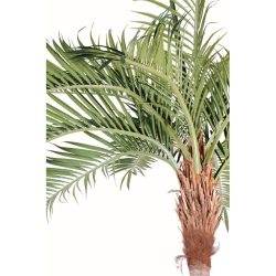 Artificial curved coconut palm 270-700 cm