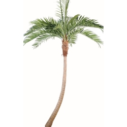 Artificial curved coconut palm 270-700 cm