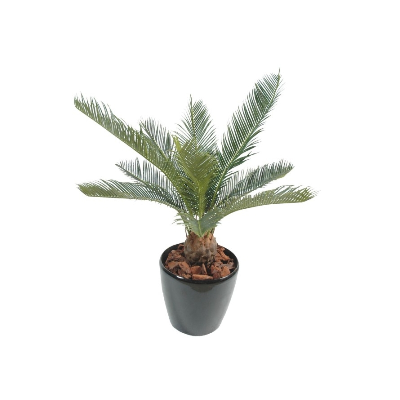 Artificial Cycas Baby 65 cm