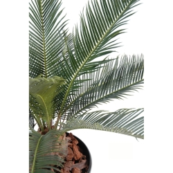 Artificial Cycas Baby 65 cm