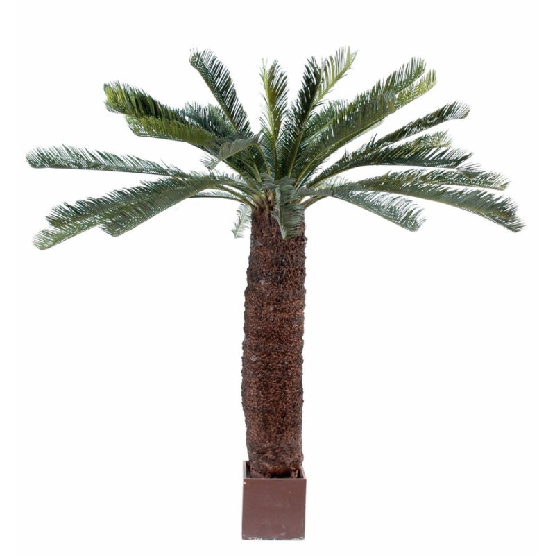 Artificial giant Cycas 200 cm