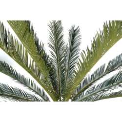 Artificial giant Cycas 200 cm