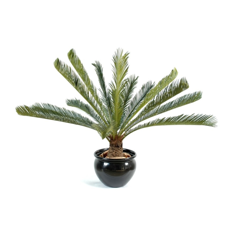 Artificial giant Cycas 15 fronds 100 cm
