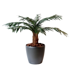 Artificial Cycas palm 80-140 cm