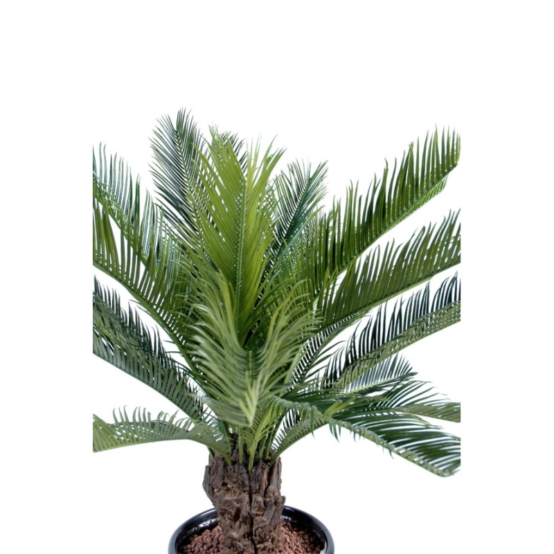 Cycas con tronco artificiale 90-100 cm