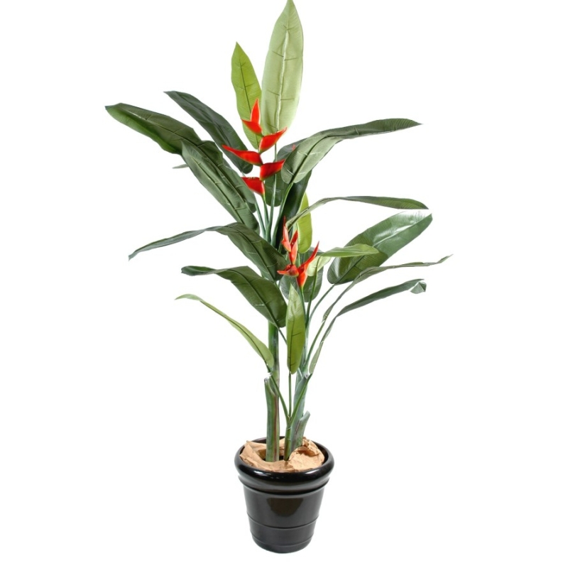 Heliconia artificiale 180 cm