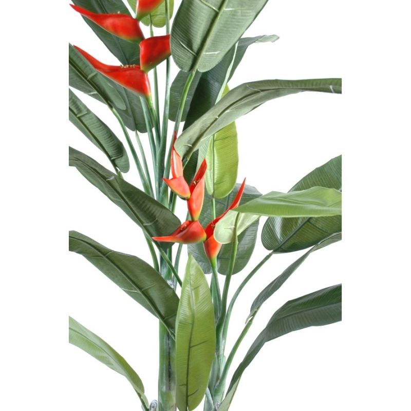 Heliconia artificiale 180 cm