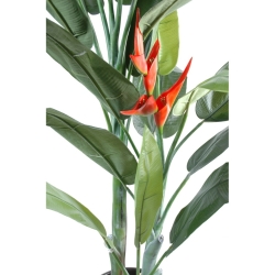 Heliconia artificiale 180 cm
