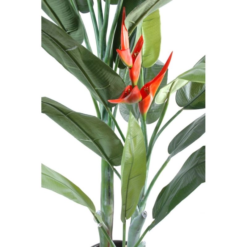 Artificial Heliconia 180 cm
