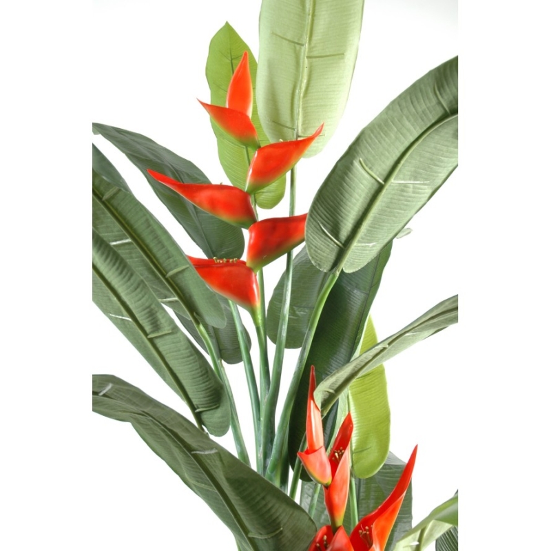 Artificial Heliconia 180 cm
