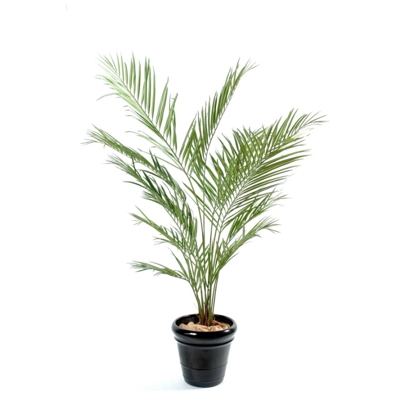 Palma Kentia New artificiale 150 cm