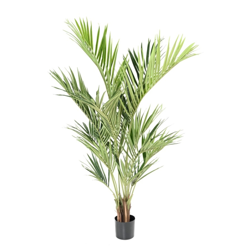 Artificial Kentia Royal palm 190-220 cm