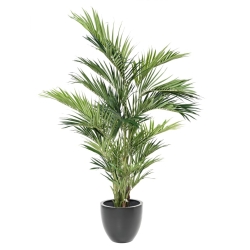 Palma Kentia Royal artificiale 270 cm