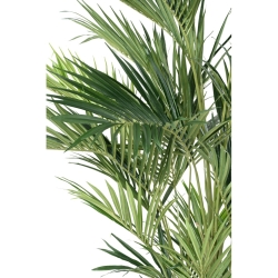 Artificial Kentia Royal palm 270 cm